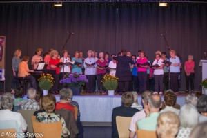 2016 Feuersingen